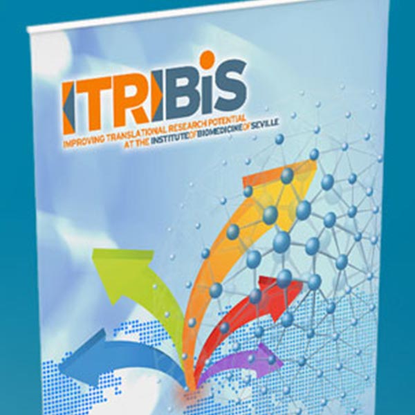 Itribis