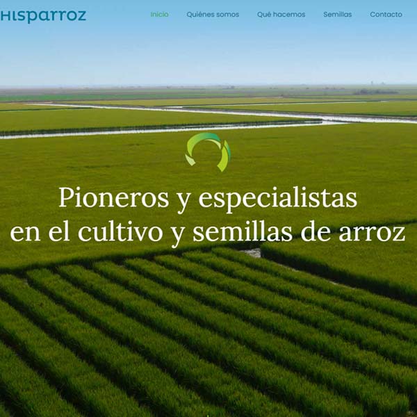 Web Hisparroz