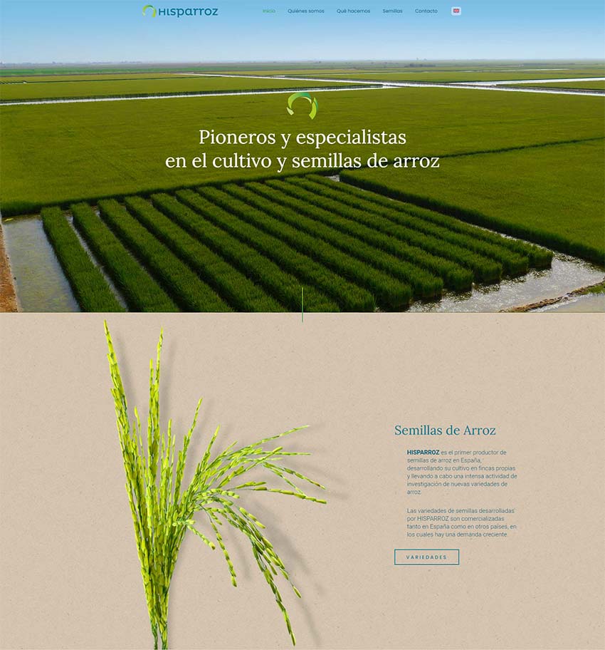 Web Hisparroz
