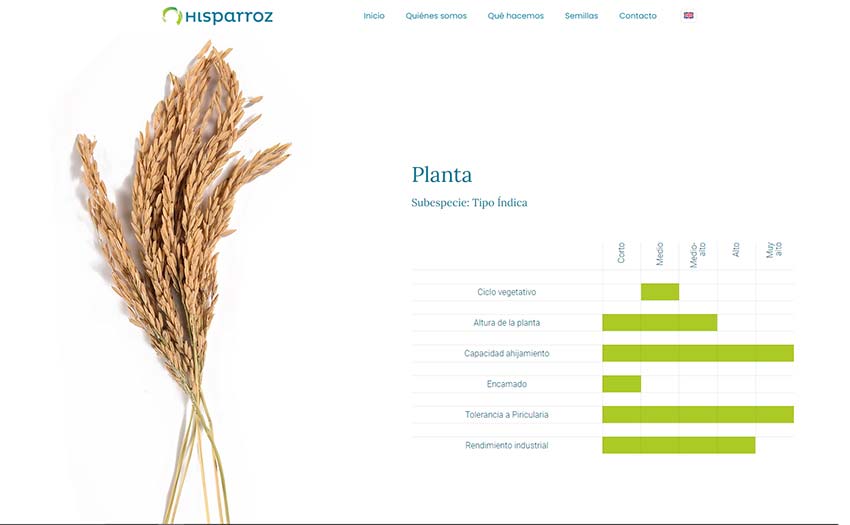 Web Hisparroz